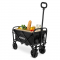 Ruční kompaktní vozík – Skládací – 60 kg – 50 l | Černý